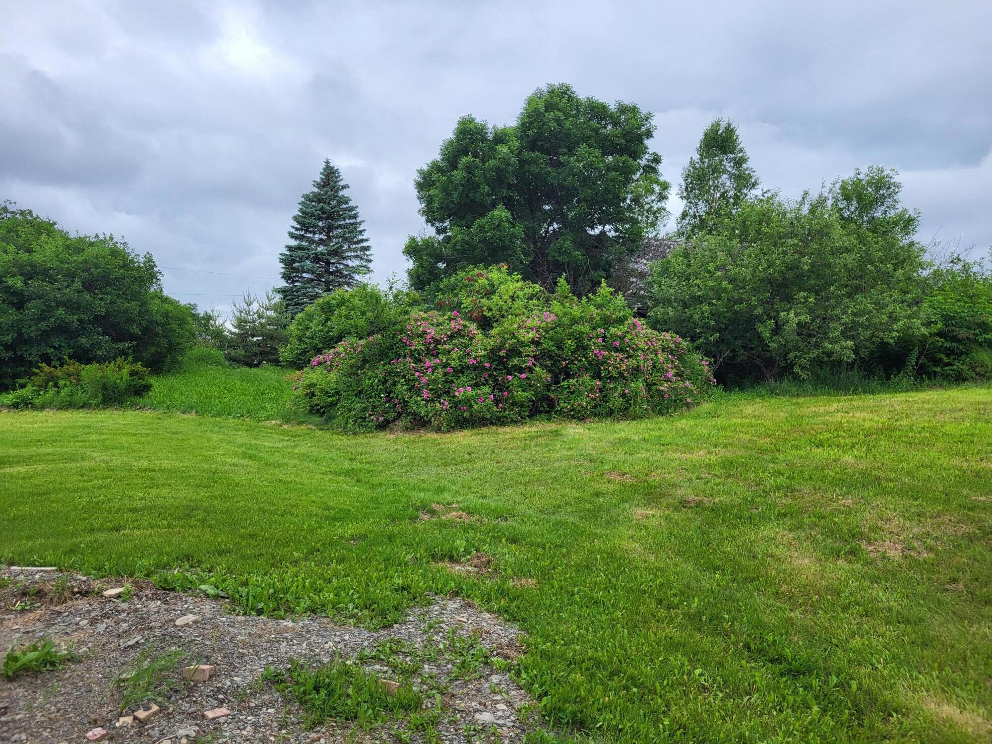 14 Talbot Road St. David, ME 04773 - Photo 15 of 52 20250704_151932