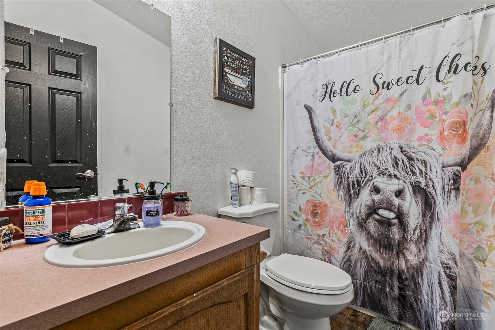 144 Shiloh Road Winlock, WA 98596 - Photo 13 of 37 a bathroom with a sink and a mirror