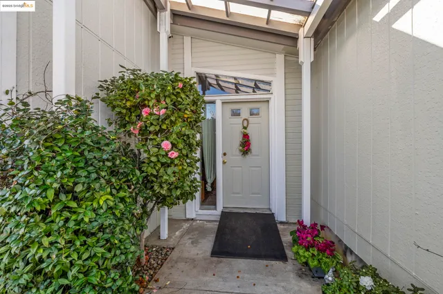 a flower plants in front of a door