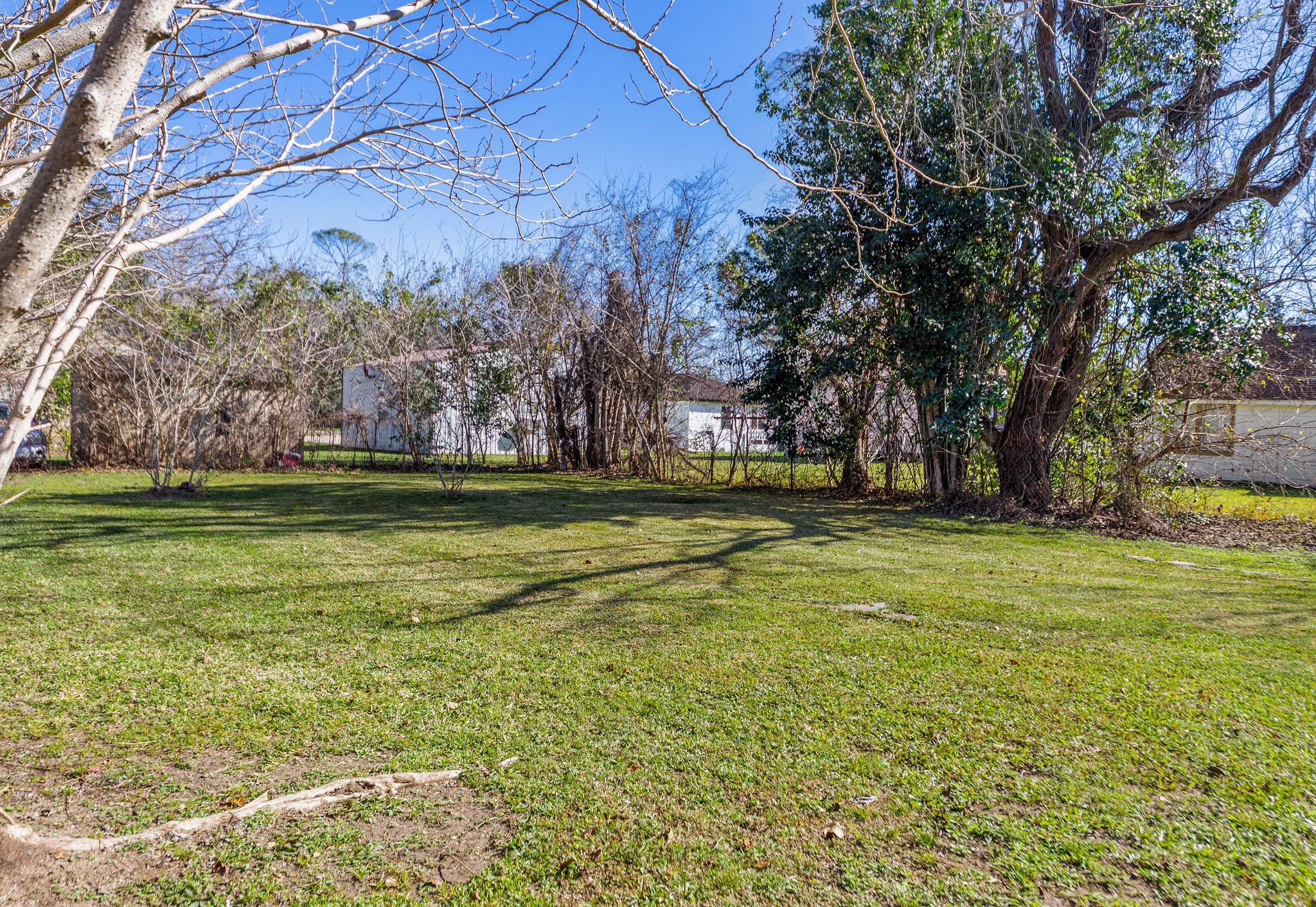 203 South Fig Street Sweeny, TX 77480 - Photo 19 of 20 a view of a field with large trees