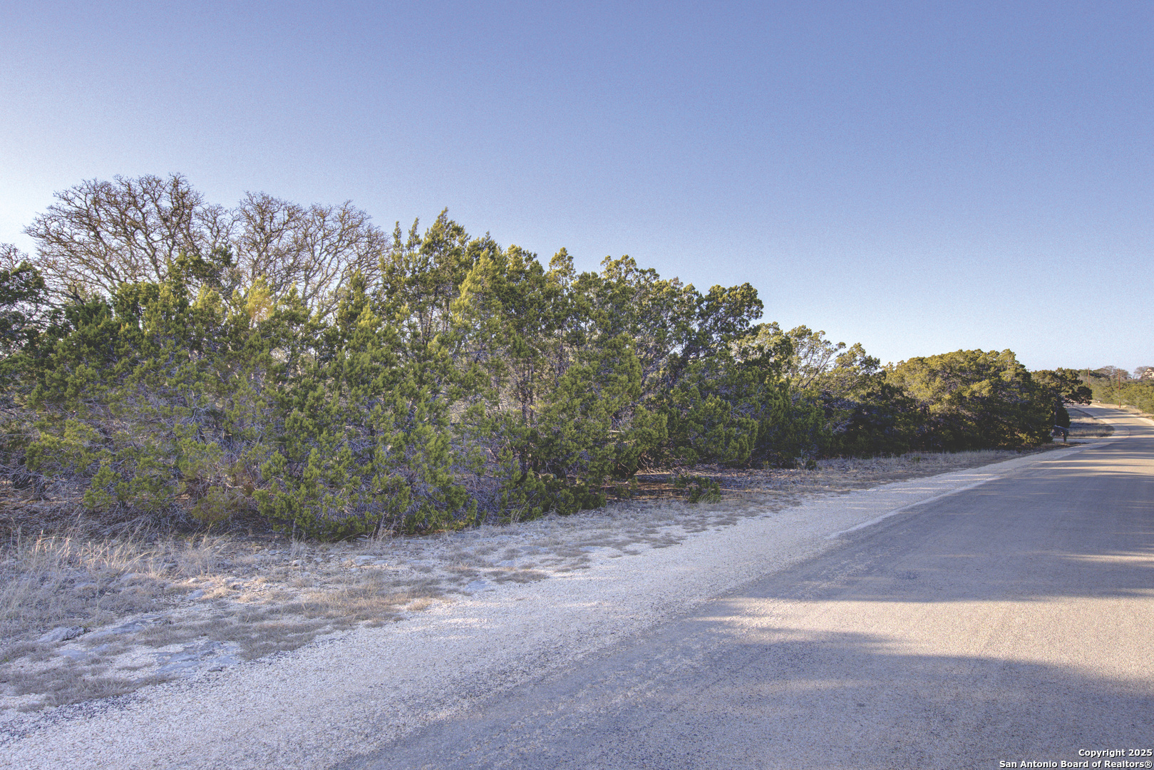 0 River Bend Road West Hunt, TX 78024 - Photo 16 of 55 a view of a dirt road with trees in the background