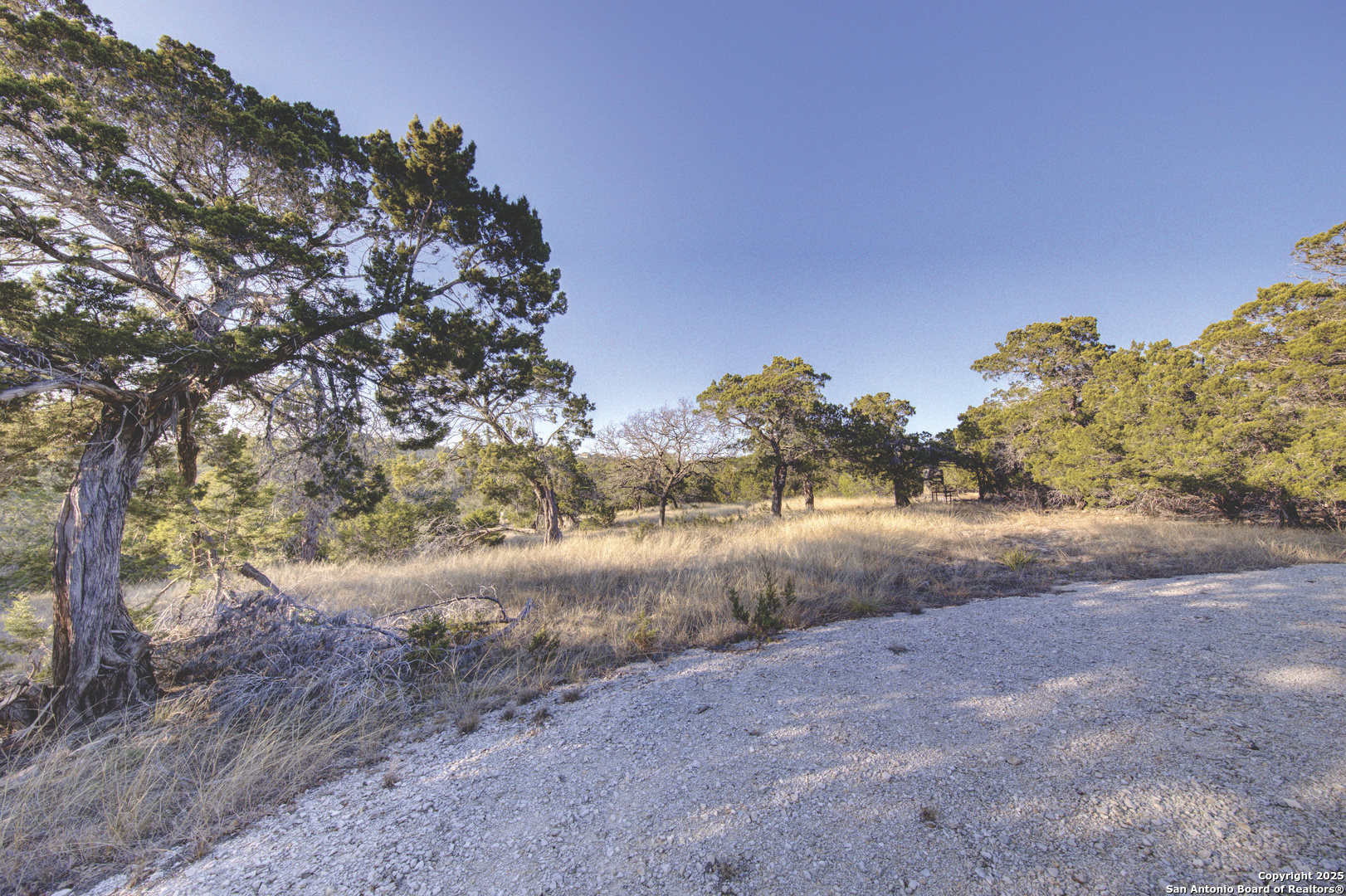 0 River Bend Road West Hunt, TX 78024 - Photo 18 of 55 a view of dirt field with trees in the background