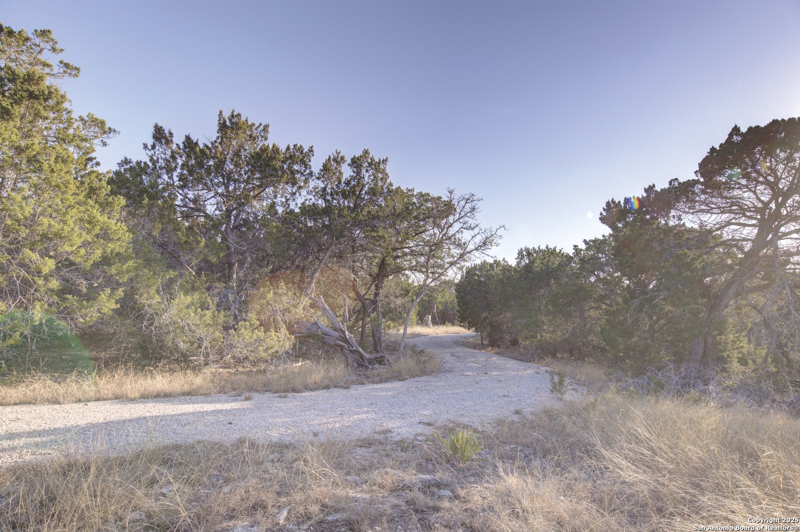 0 River Bend Road West Hunt, TX 78024 - Photo 19 of 55 a view of dirt yard with large trees