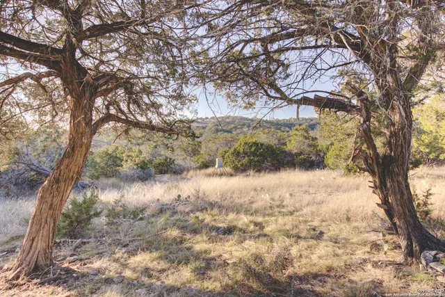 a view of a lake with a mountain in the background