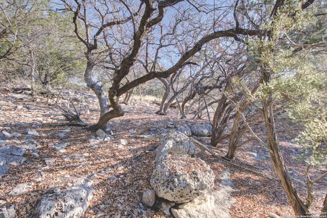 a view of a dry yard with mountains in the background
