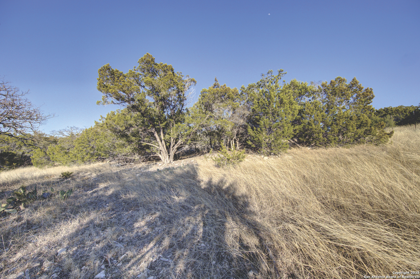 0 River Bend Road West Hunt, TX 78024 - Photo 45 of 55 a view of a yard with a tree