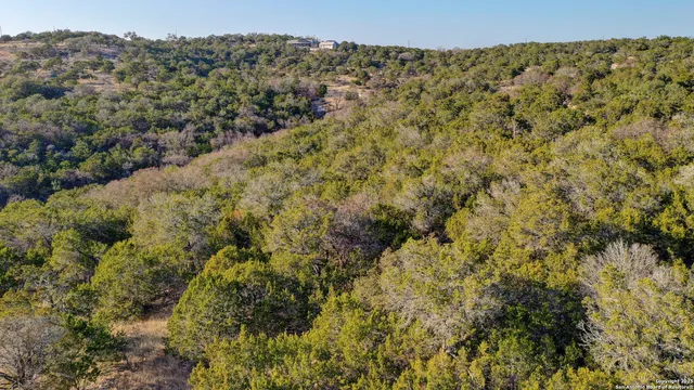 a view of a lush green forest with trees and houses
