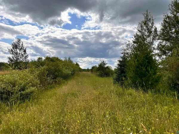 $74,900 | Xxx Curry Road, Mason, WI 54856