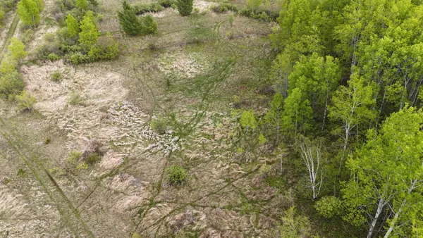 $74,900 | Xxx Curry Road, Mason, WI 54856