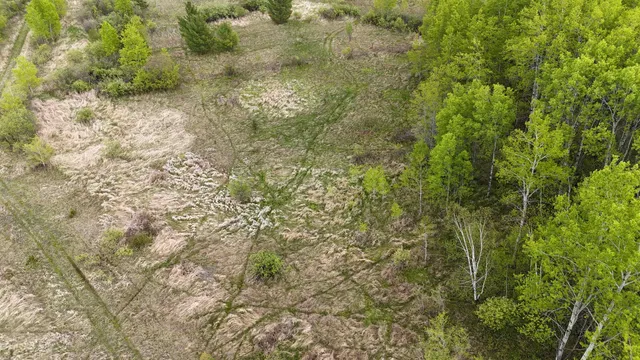 $79,900 | Xxx Curry Road, Mason, WI 54856