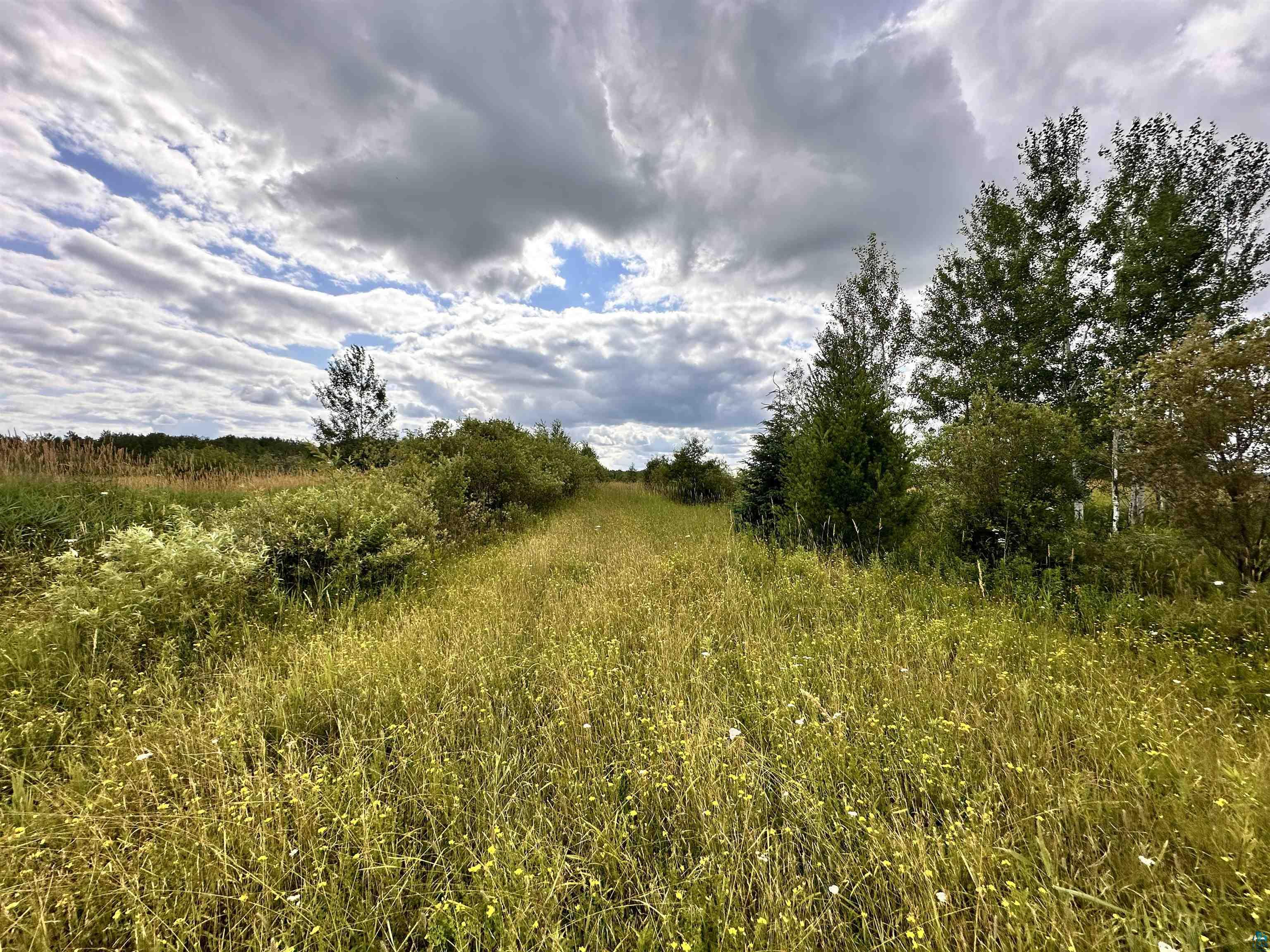 Xxx Curry Road Mason, WI 54856 - Photo 2 of 14 View of nature