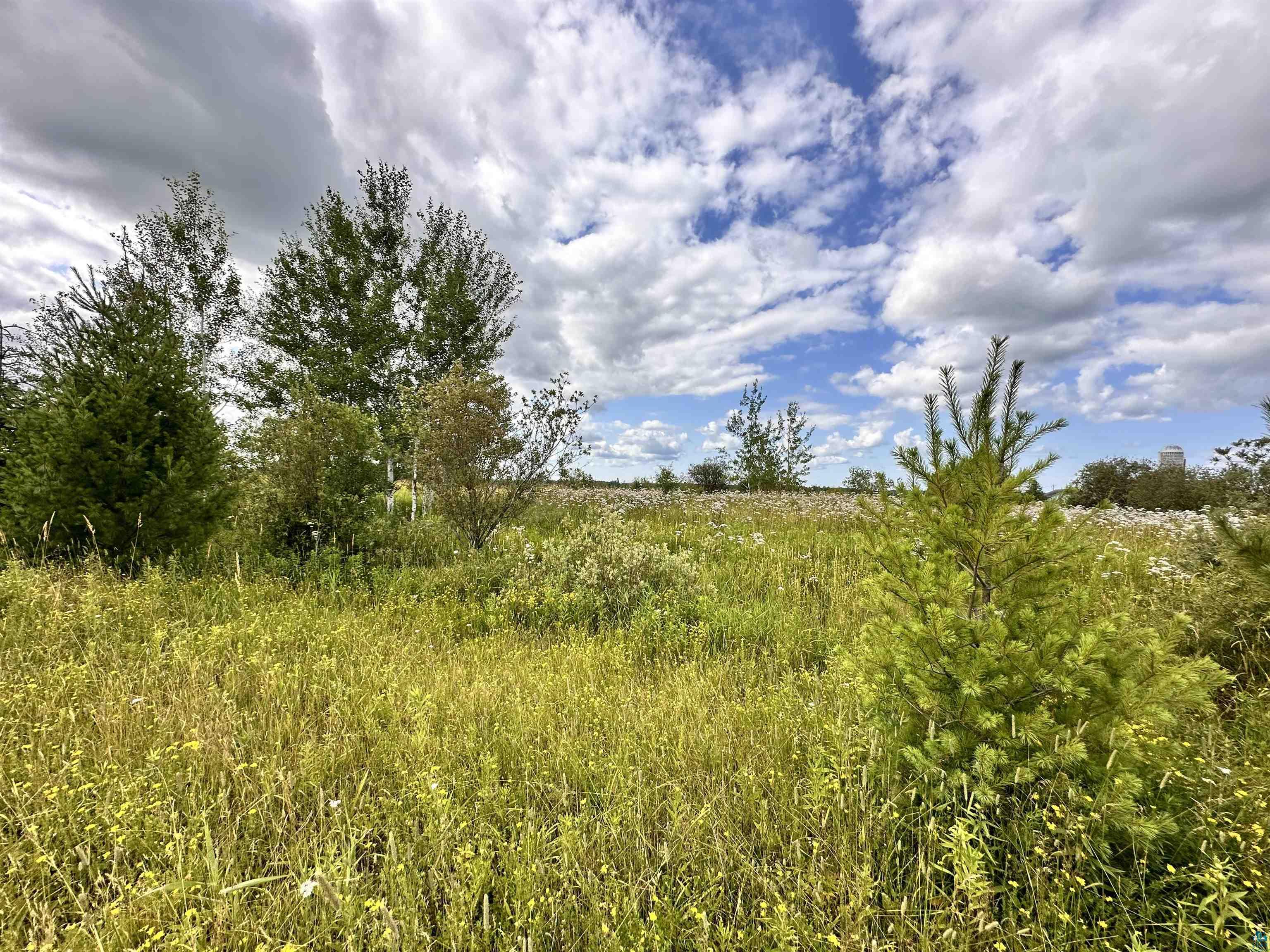 Xxx Curry Road Mason, WI 54856 - Photo 4 of 14 View of landscape