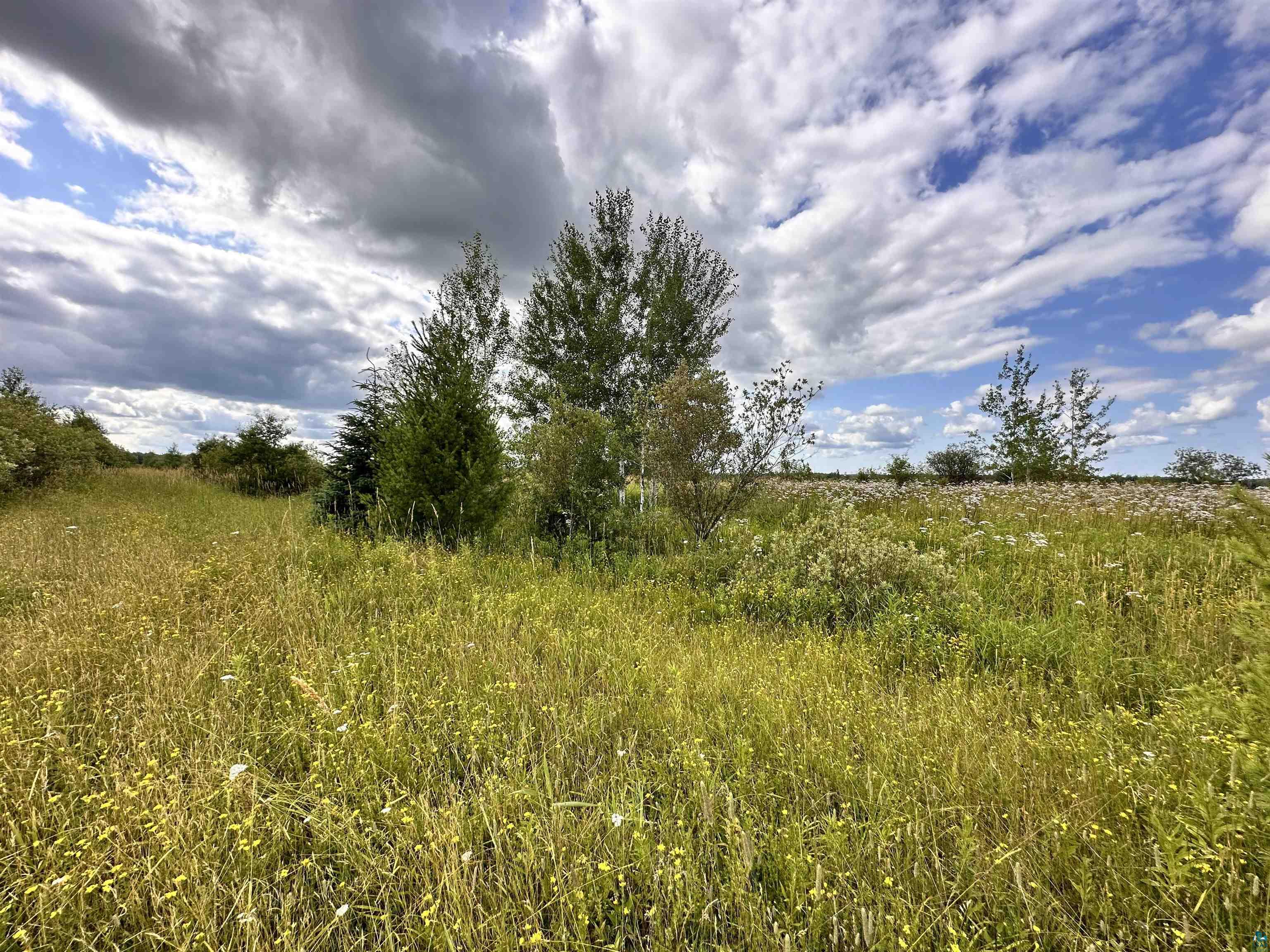 Xxx Curry Road Mason, WI 54856 - Photo 5 of 14 View of landscape