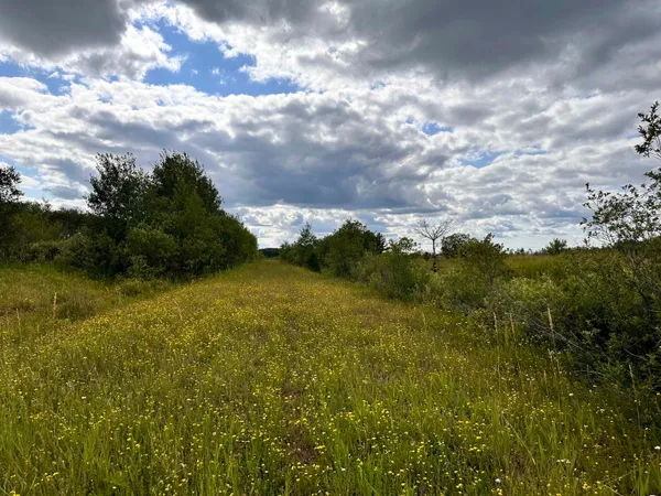 $74,900 | Xxx Curry Road, Mason, WI 54856