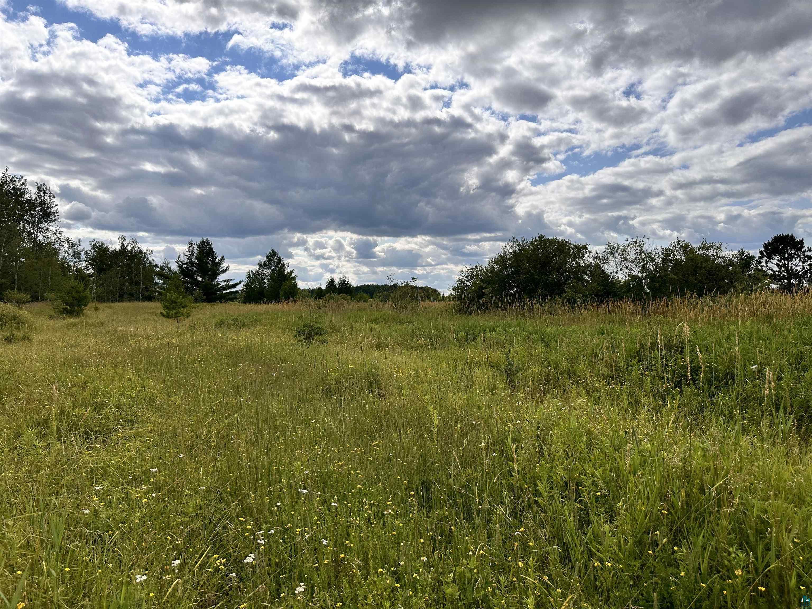 Xxx Curry Road Mason, WI 54856 - Photo 7 of 14 View of local wilderness