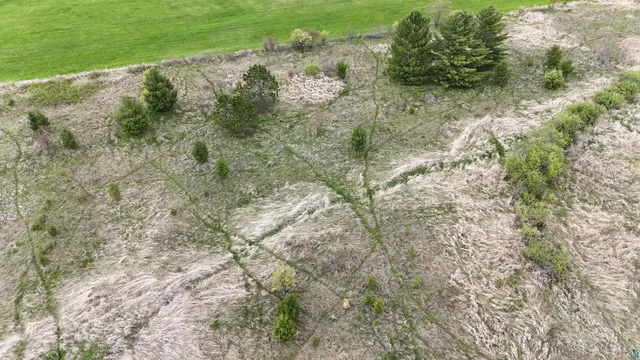 $79,900 | Xxx Curry Road, Mason, WI 54856