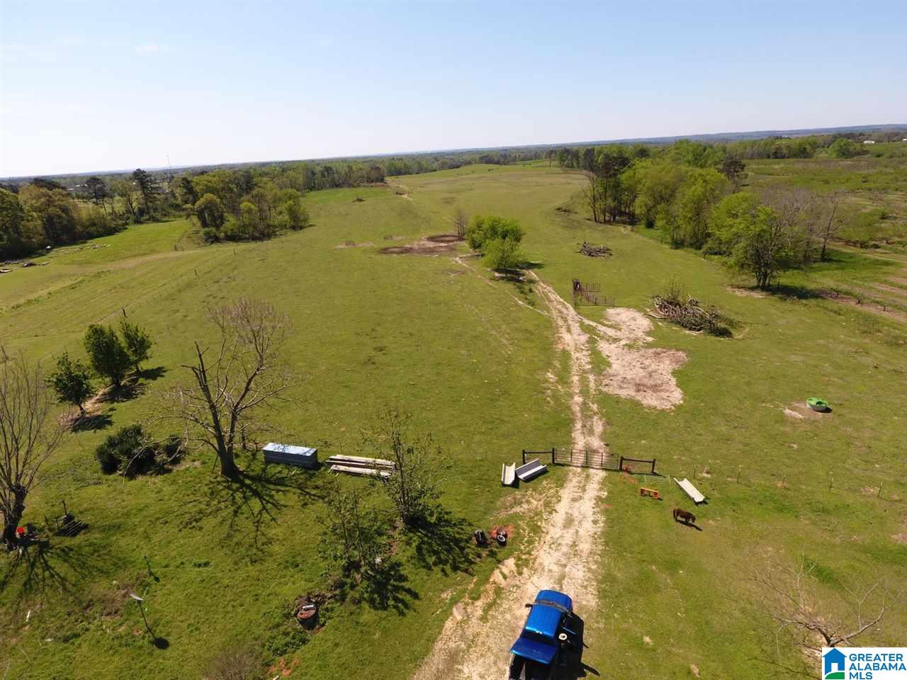 0 County Road 30, Unit 1 Clanton, AL 35045 - Photo 14 of 32