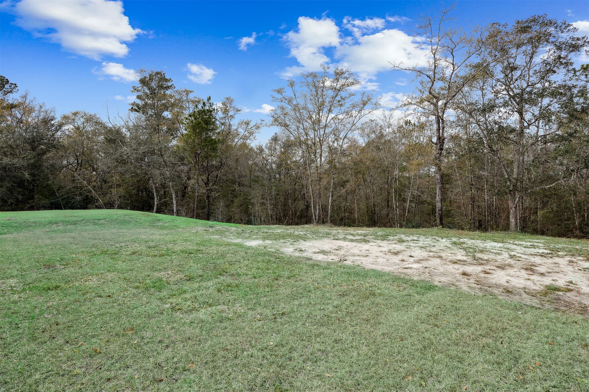 15466 Bullock Bluff Road Bryceville, FL 32009 - Photo 48 of 56 Backyard