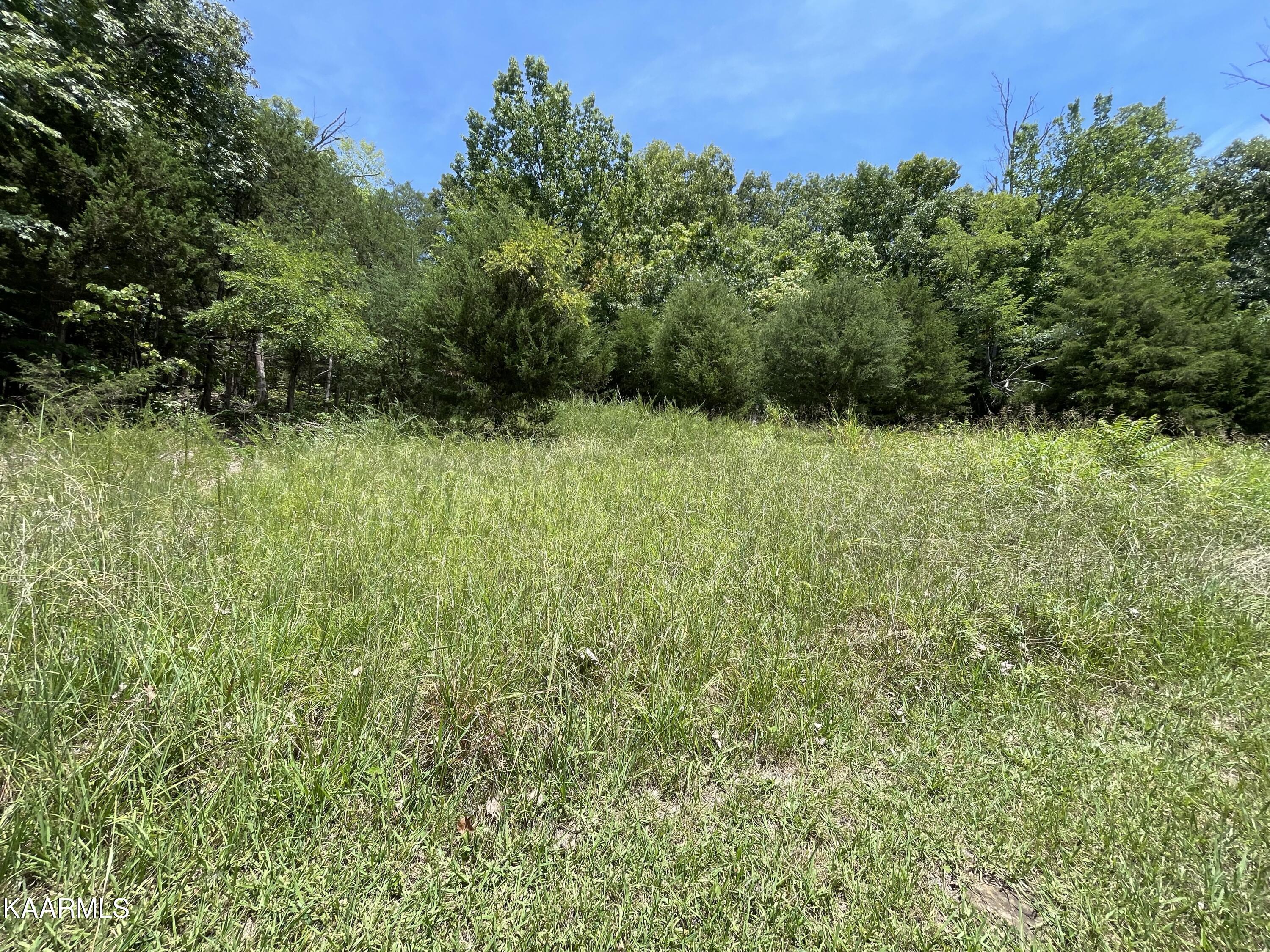102 Lakeshore Way Newport, TN 37821 - Photo 1 of 11 IMG_6998