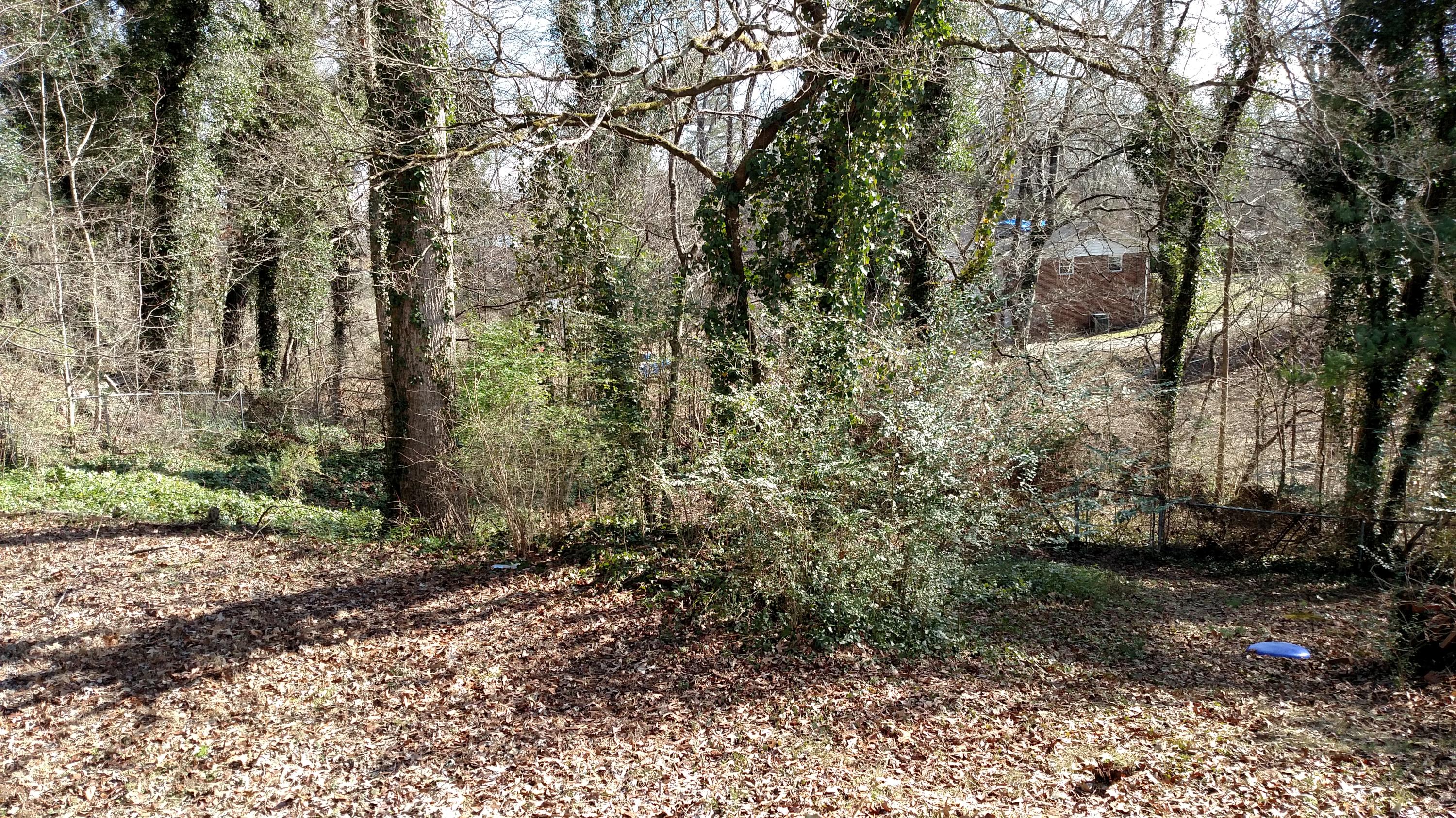 244 Iroquois Road Oak Ridge, TN 37830 - Photo 23 of 23 IMG_20170130_123025692