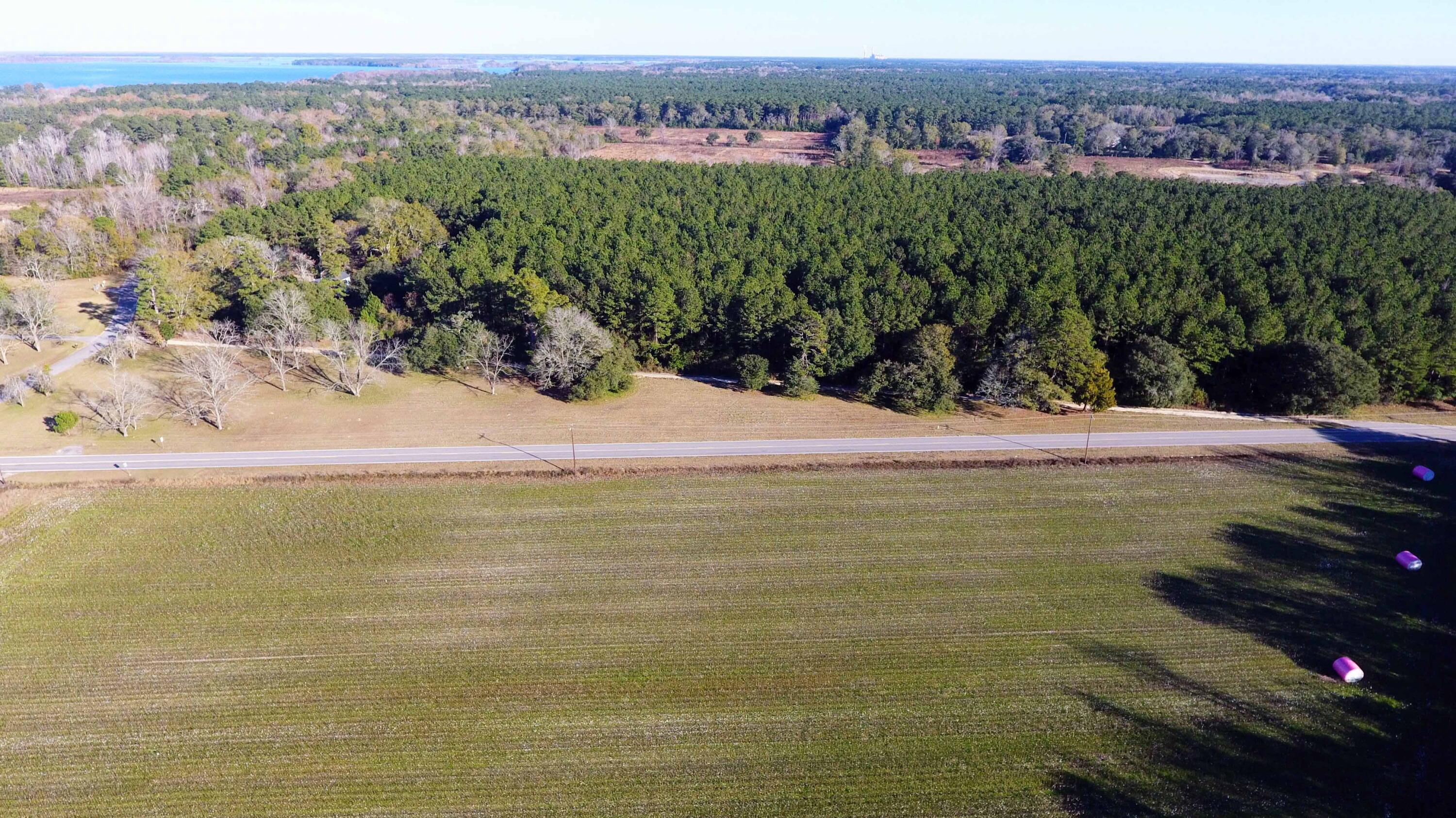 0 Rocks Pond (lot A) Road Eutawville, SC 29048 - Photo 5 of 6 DJI_0275 copy