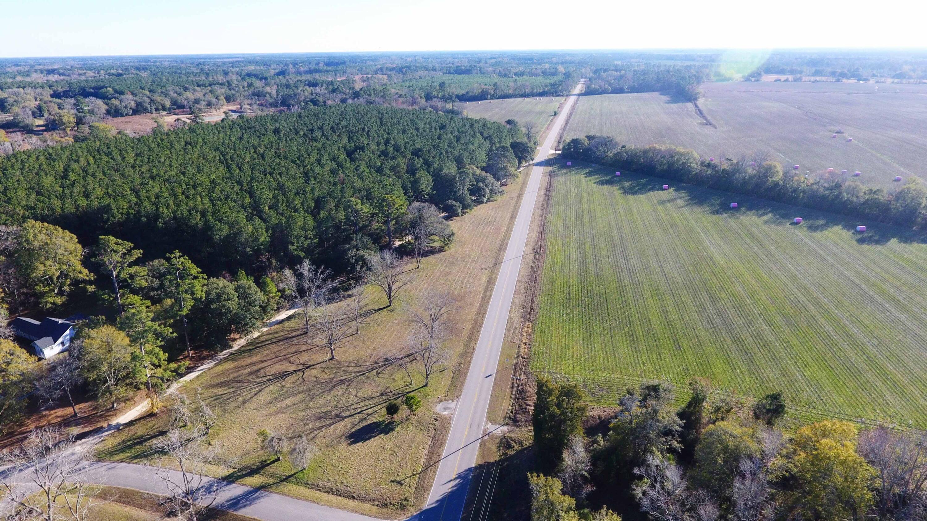 0 Rocks Pond (lot A) Road Eutawville, SC 29048 - Photo 6 of 6 DJI_0276 copy