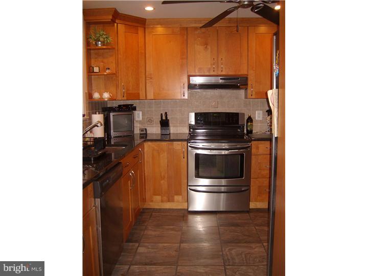 3429 Tyson Road Newtown Square, PA 19073 - Photo 8 of 24 Kitchen