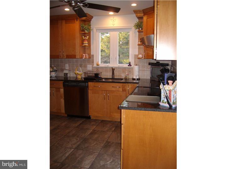 3429 Tyson Road Newtown Square, PA 19073 - Photo 9 of 24 Kitchen