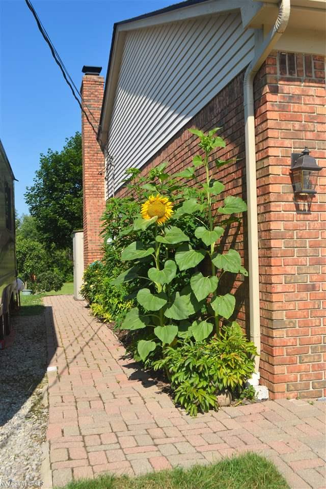 51935 Fairchild Road Chesterfield, MI 48051 - Photo 5 of 43