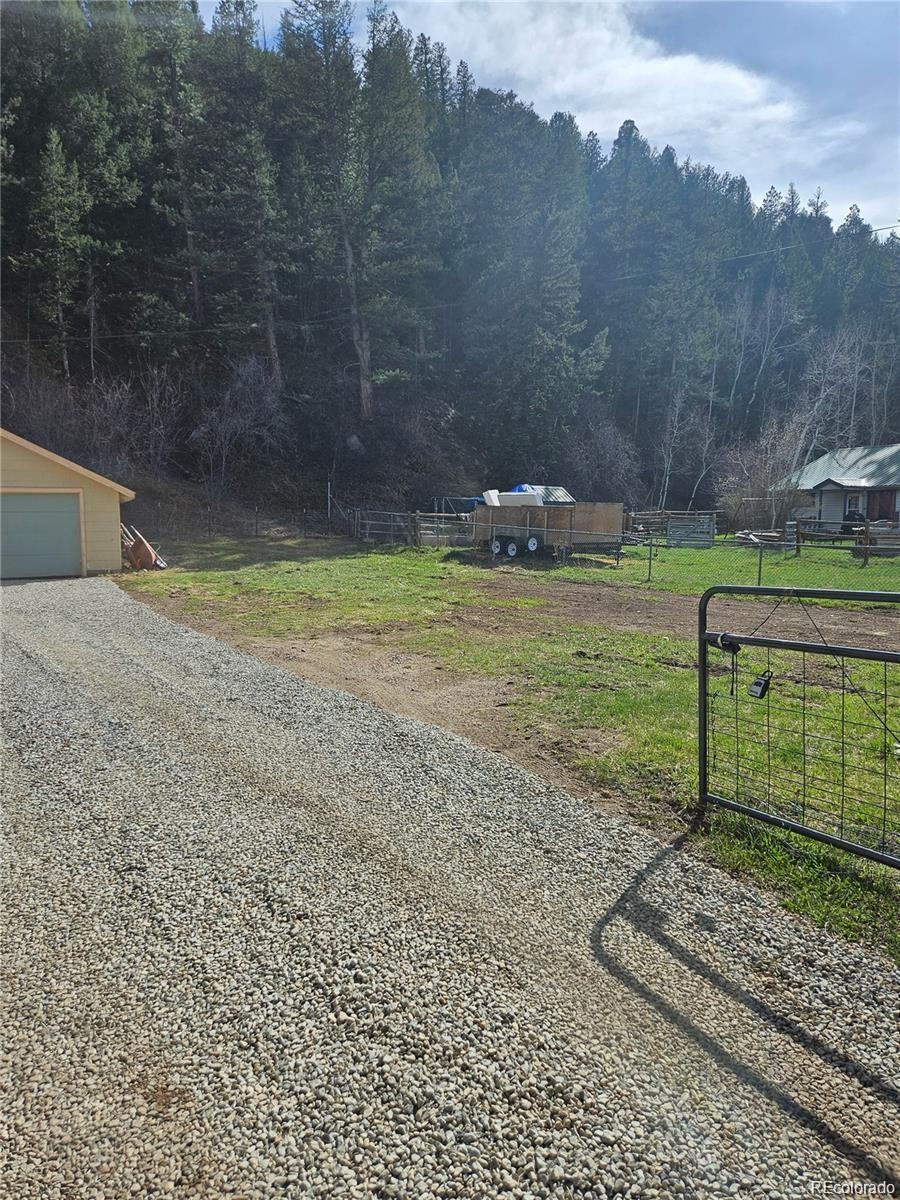 124 River Drive Bailey, CO 80421 - Photo 3 of 26