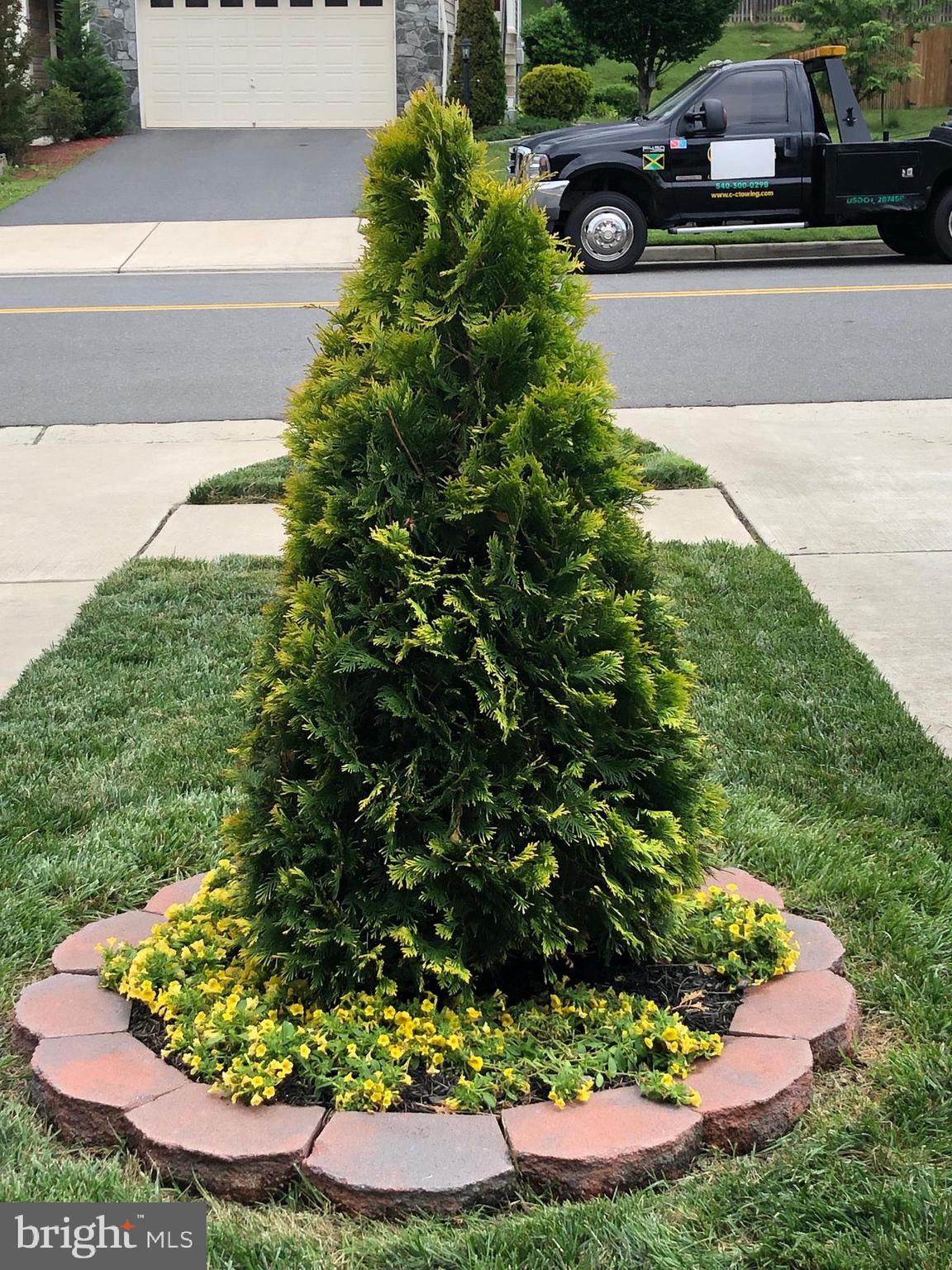 146 Short Branch Road Stafford, VA 22556 - Photo 47 of 59 Well cared for landscaping