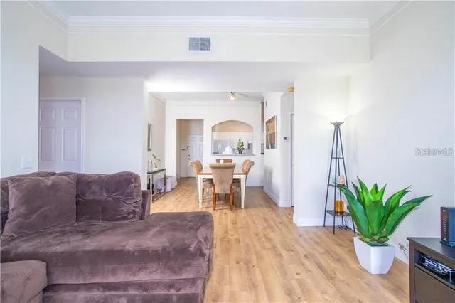 a living room with furniture and a potted plant