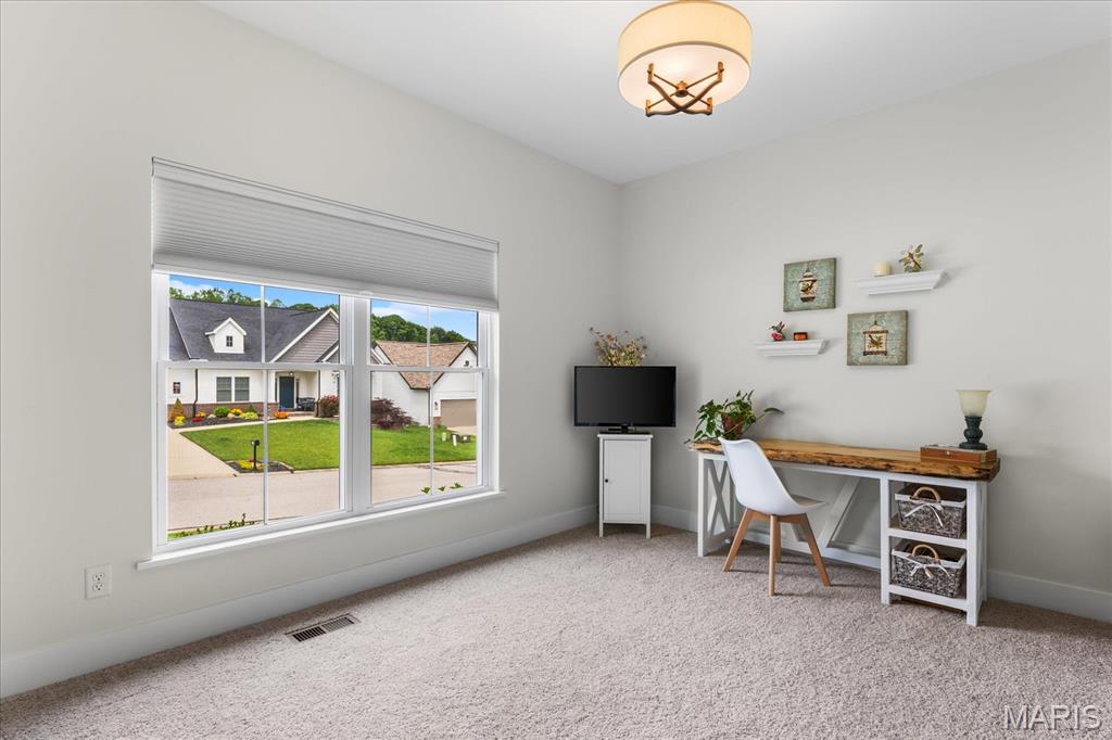 7968 Donner Ridge Caseyville, IL 62232 - Photo 21 of 64