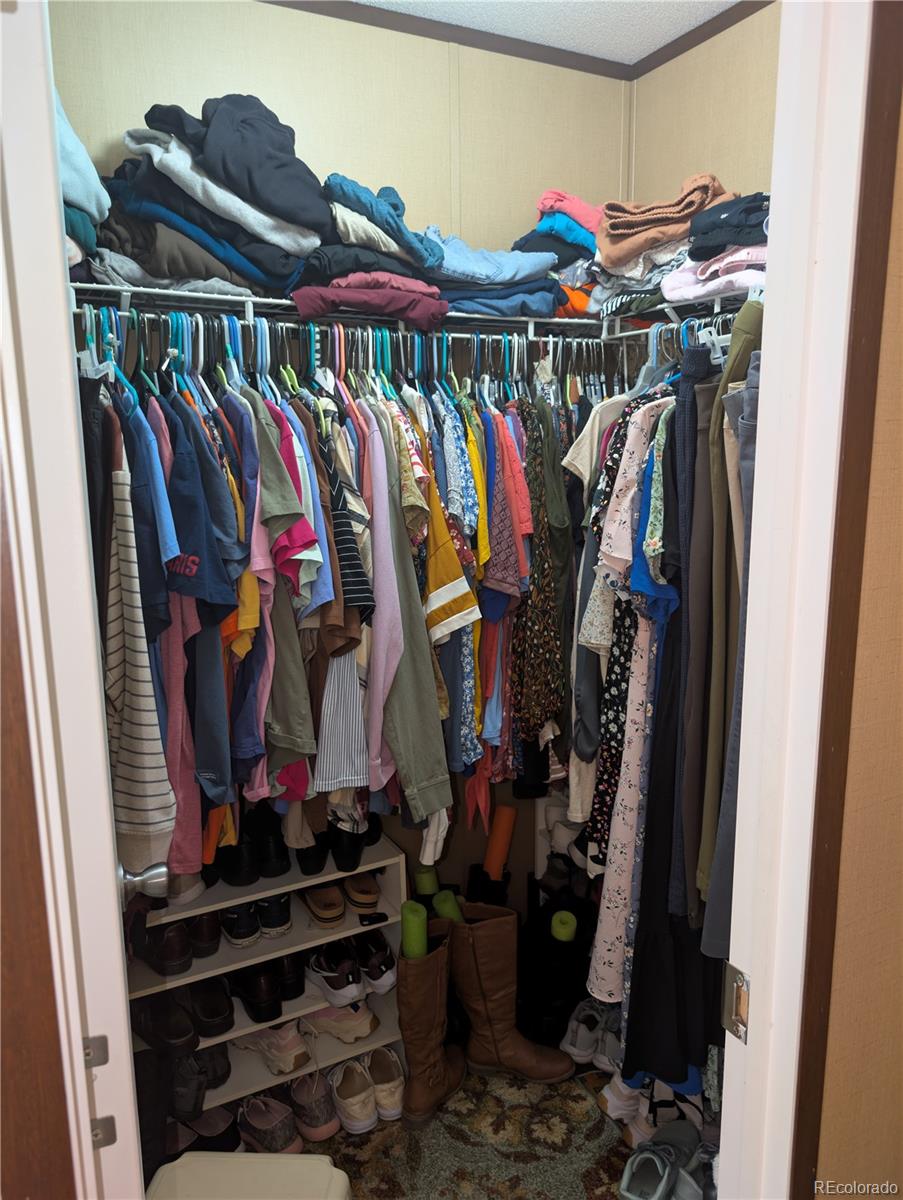 19 Danny Street Castle Rock, CO 80109 - Photo 17 of 33 a view of walk in closet with clothes and shoes