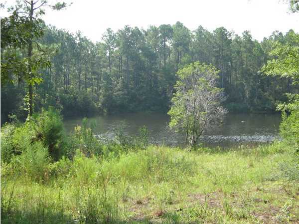 0 Quail Ridge Drive DeFuniak Springs, FL 32435 - Photo 1 of 4 Gallery Image 1