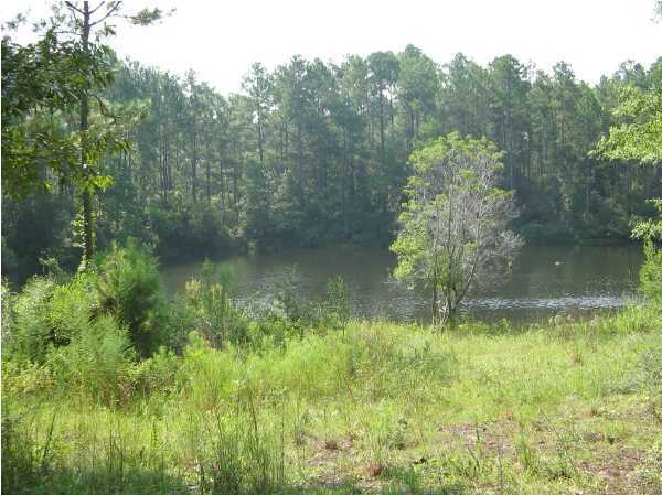 0 Quail Ridge Drive DeFuniak Springs, FL 32435 - Photo 2 of 4 Gallery Image 2