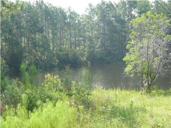 0 Quail Ridge Drive DeFuniak Springs, FL 32435 - Photo 3 of 4 Gallery Image 3