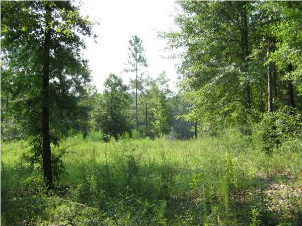 0 Quail Ridge Drive DeFuniak Springs, FL 32435 - Photo 4 of 4 Gallery Image 4