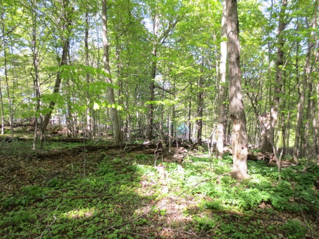 0 Boss Road Road Marion, NY 14505 - Photo 1 of 1