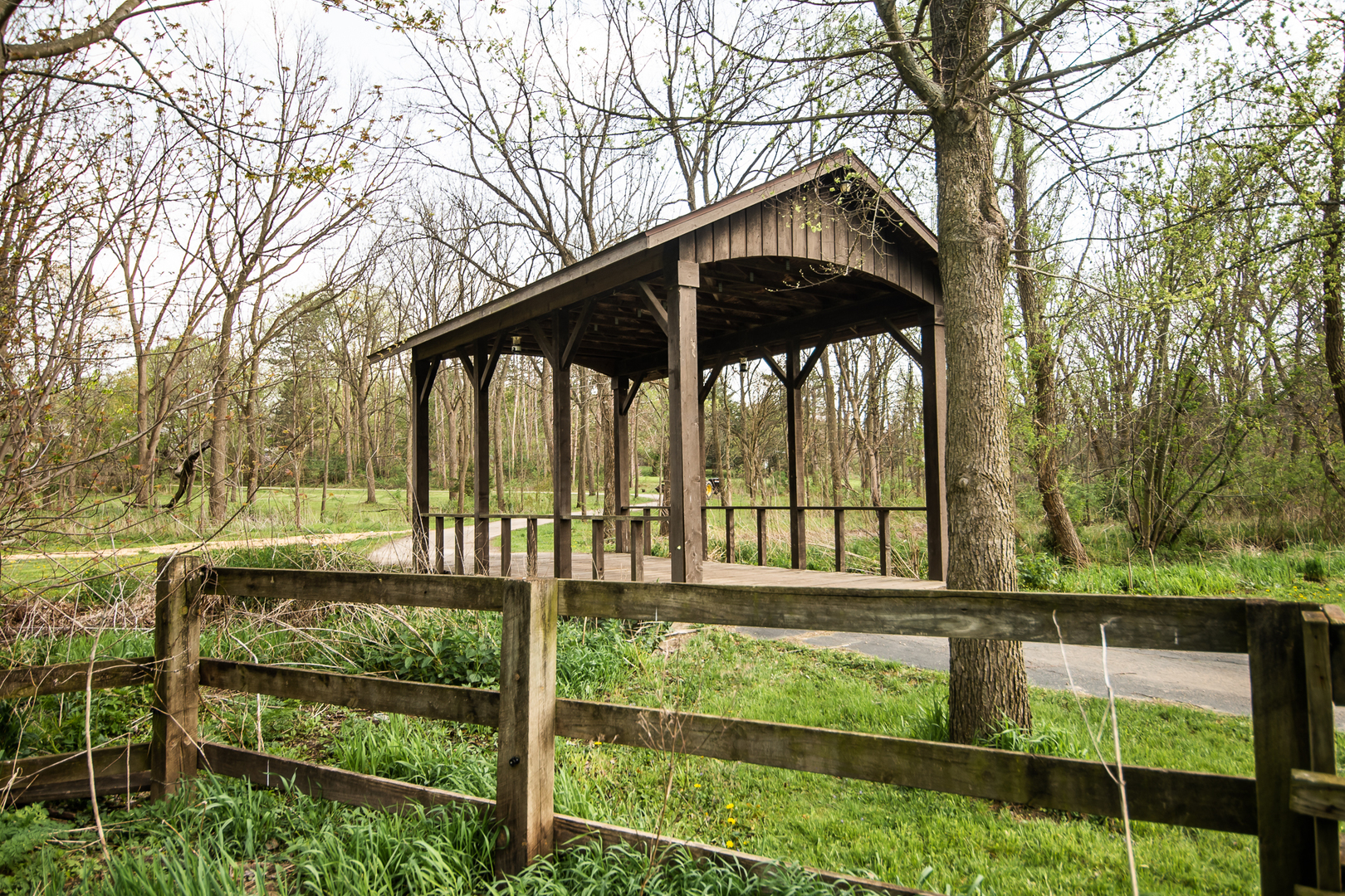 1131 4th Avenue Dixon, IL 61021 - Photo 13 of 82 a front view of a house with a yard