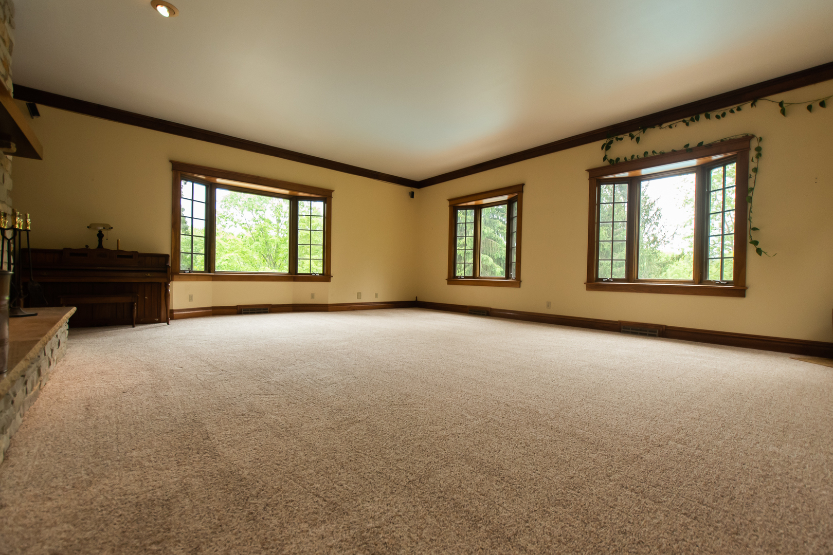 1131 4th Avenue Dixon, IL 61021 - Photo 19 of 82