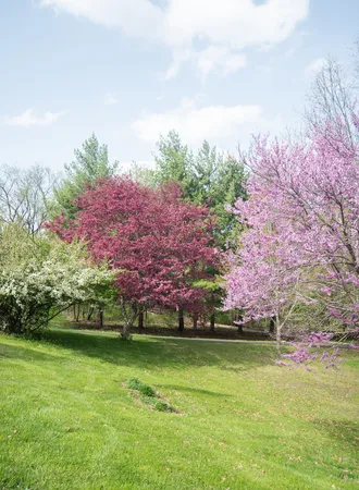 a view of a swimming pool with a garden