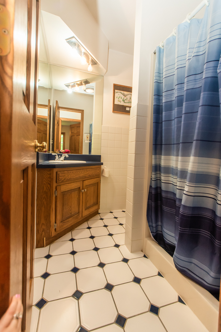 1131 4th Avenue Dixon, IL 61021 - Photo 46 of 82 a bathroom with a sink and a mirror