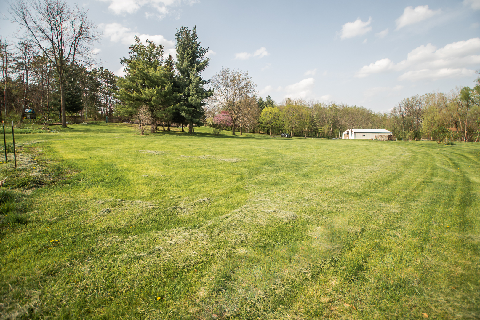 1131 4th Avenue Dixon, IL 61021 - Photo 6 of 82 a view of a field with large trees