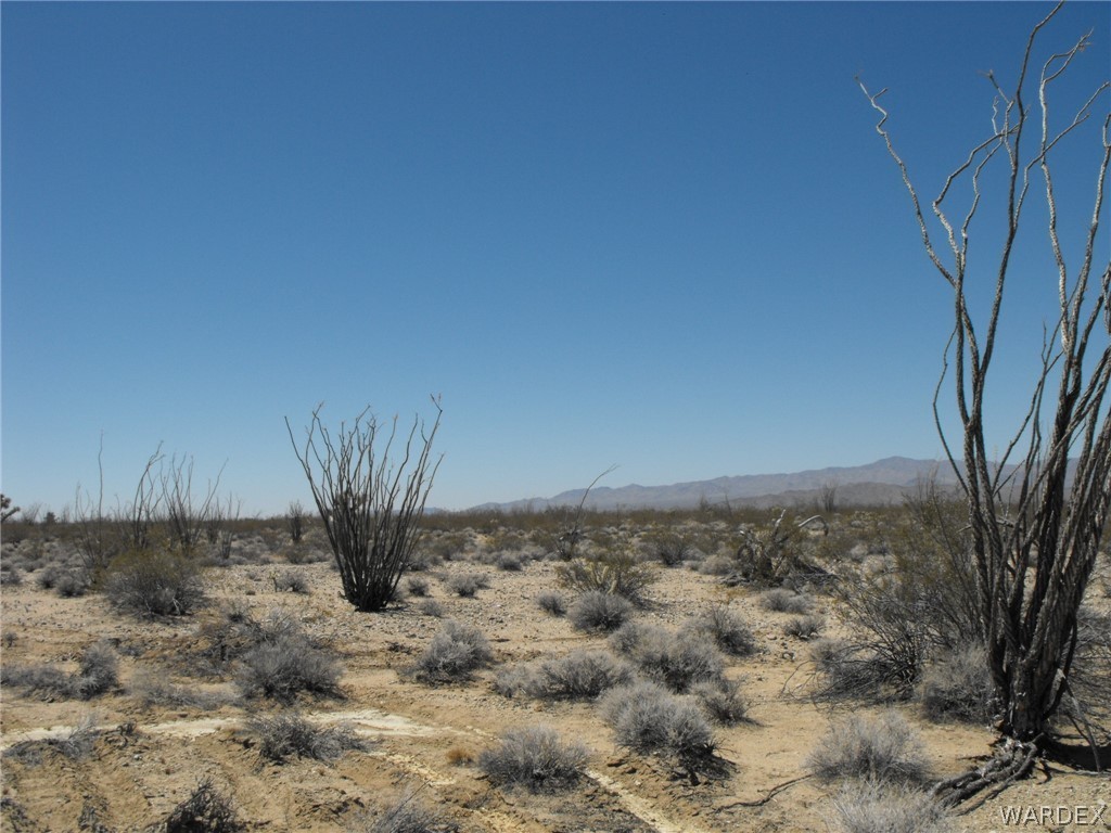 34 West Cielo Road Yucca, AZ 86438 - Photo 13 of 18