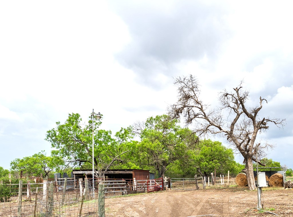 4515 Stapper Road St. Hedwig, TX 78152 - Photo 57 of 66