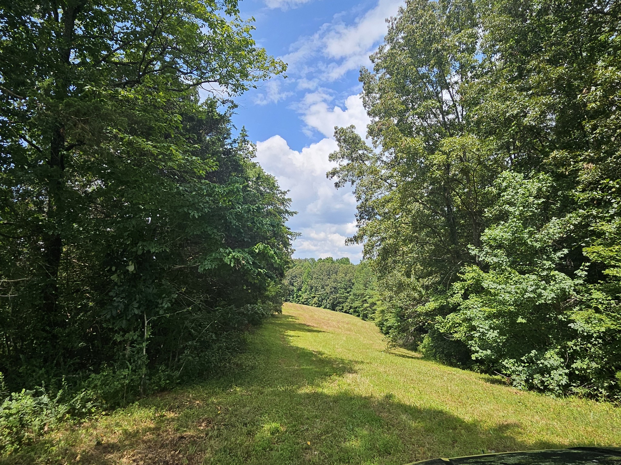 0 Young Ridge Road Sparta, TN 38583 - Photo 2 of 8