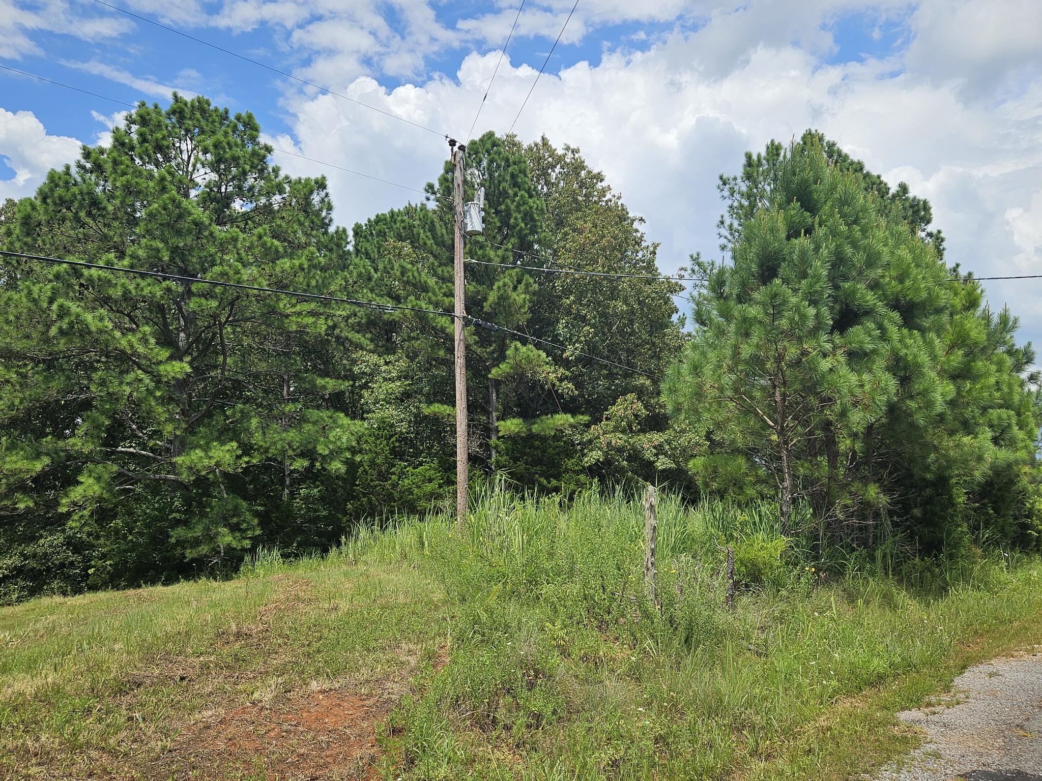 0 Young Ridge Road Sparta, TN 38583 - Photo 5 of 8 a view of a garden