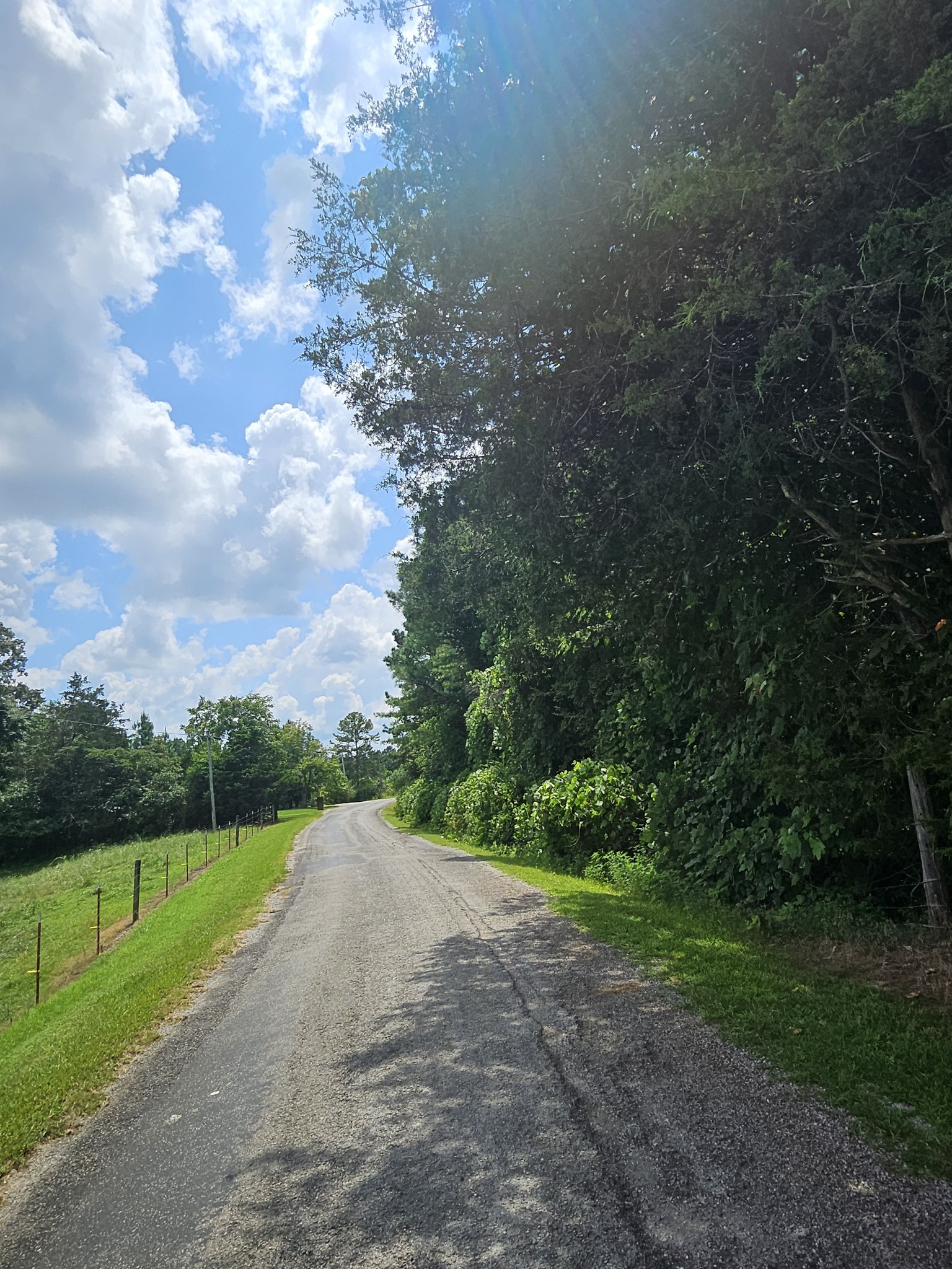 0 Young Ridge Road Sparta, TN 38583 - Photo 6 of 8 a view of a road with a yard
