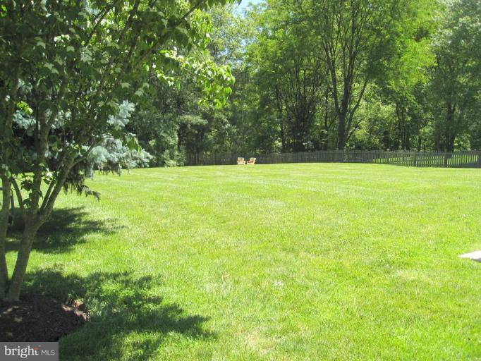 1119 Riva Ridge Drive Great Falls, VA 22066 - Photo 21 of 22 Back yard